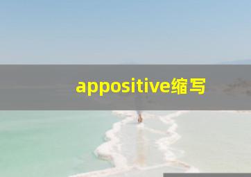 appositive缩写