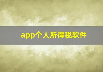 app个人所得税软件