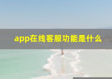 app在线客服功能是什么