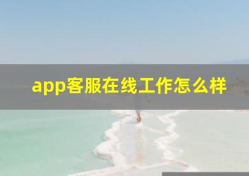 app客服在线工作怎么样