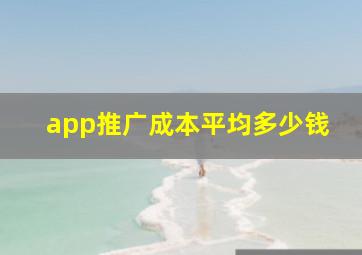 app推广成本平均多少钱