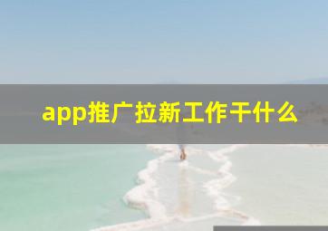 app推广拉新工作干什么