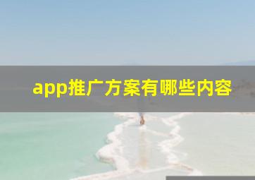 app推广方案有哪些内容