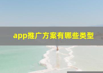 app推广方案有哪些类型