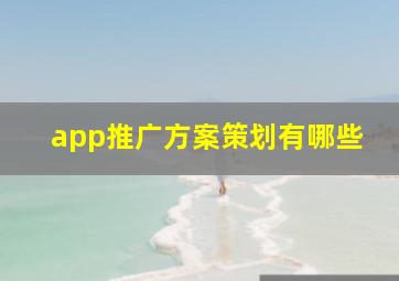 app推广方案策划有哪些