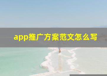 app推广方案范文怎么写