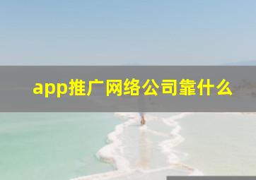 app推广网络公司靠什么