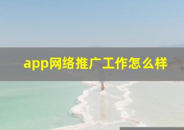 app网络推广工作怎么样