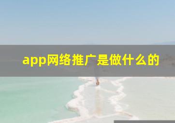 app网络推广是做什么的