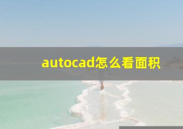 autocad怎么看面积