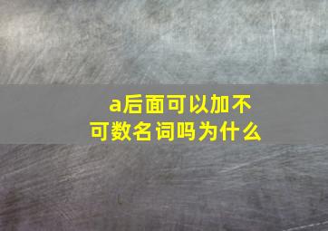 a后面可以加不可数名词吗为什么