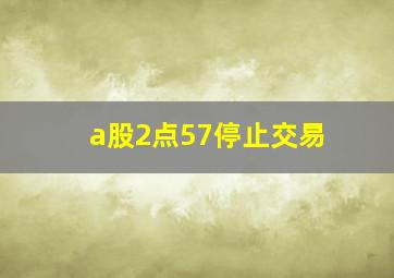 a股2点57停止交易