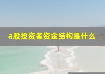 a股投资者资金结构是什么