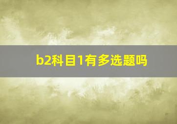 b2科目1有多选题吗