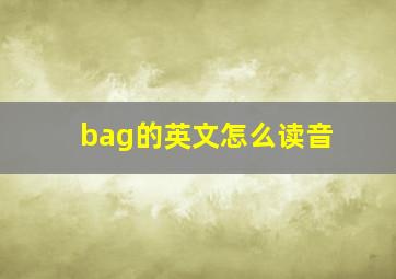 bag的英文怎么读音