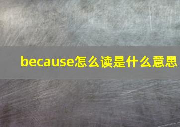 because怎么读是什么意思