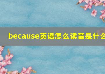 because英语怎么读音是什么