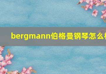 bergmann伯格曼钢琴怎么样