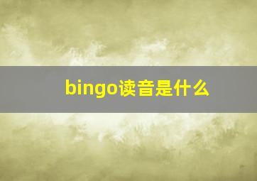 bingo读音是什么