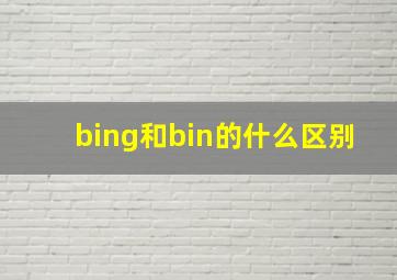 bing和bin的什么区别