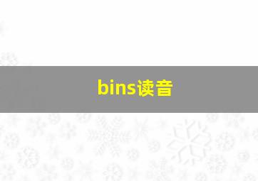 bins读音