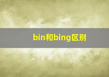 bin和bing区别