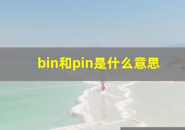 bin和pin是什么意思