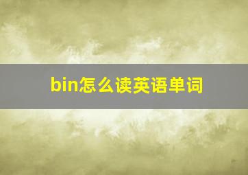 bin怎么读英语单词