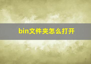 bin文件夹怎么打开