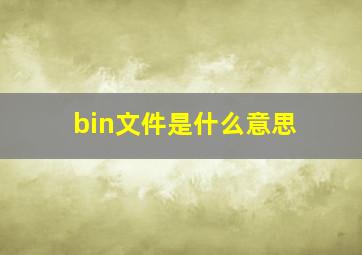 bin文件是什么意思