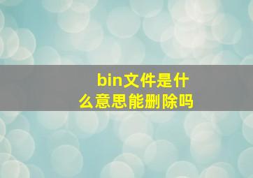 bin文件是什么意思能删除吗