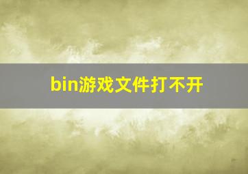 bin游戏文件打不开