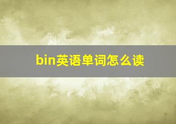 bin英语单词怎么读