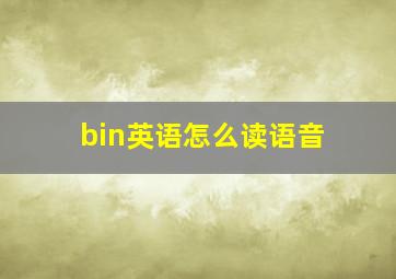 bin英语怎么读语音