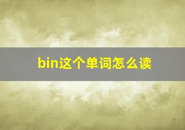 bin这个单词怎么读