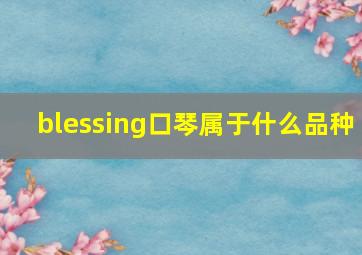 blessing口琴属于什么品种