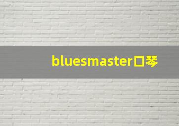 bluesmaster口琴