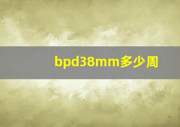 bpd38mm多少周