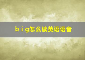 bⅰg怎么读英语语音