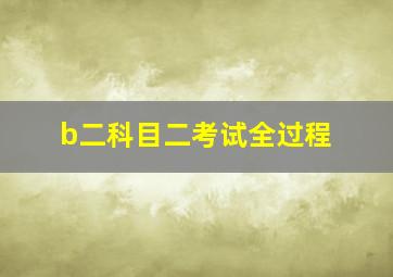 b二科目二考试全过程