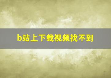 b站上下载视频找不到