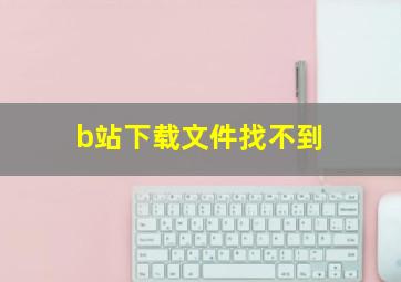 b站下载文件找不到