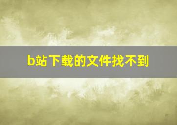 b站下载的文件找不到