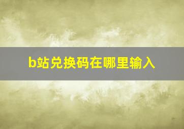 b站兑换码在哪里输入