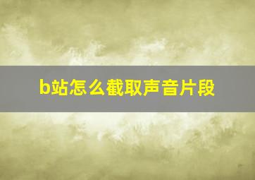 b站怎么截取声音片段