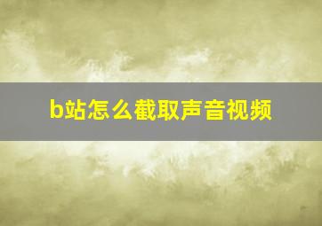 b站怎么截取声音视频