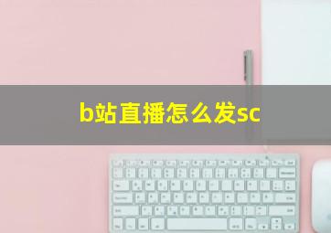 b站直播怎么发sc