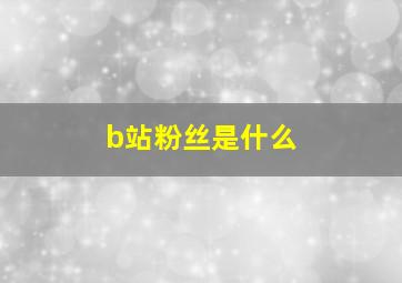 b站粉丝是什么