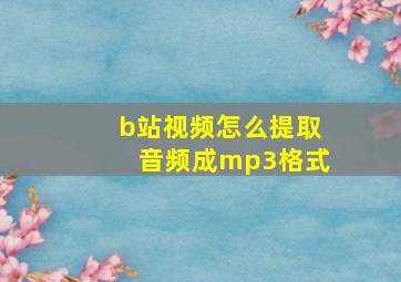 b站视频怎么提取音频成mp3格式