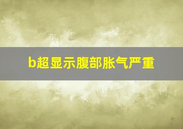 b超显示腹部胀气严重